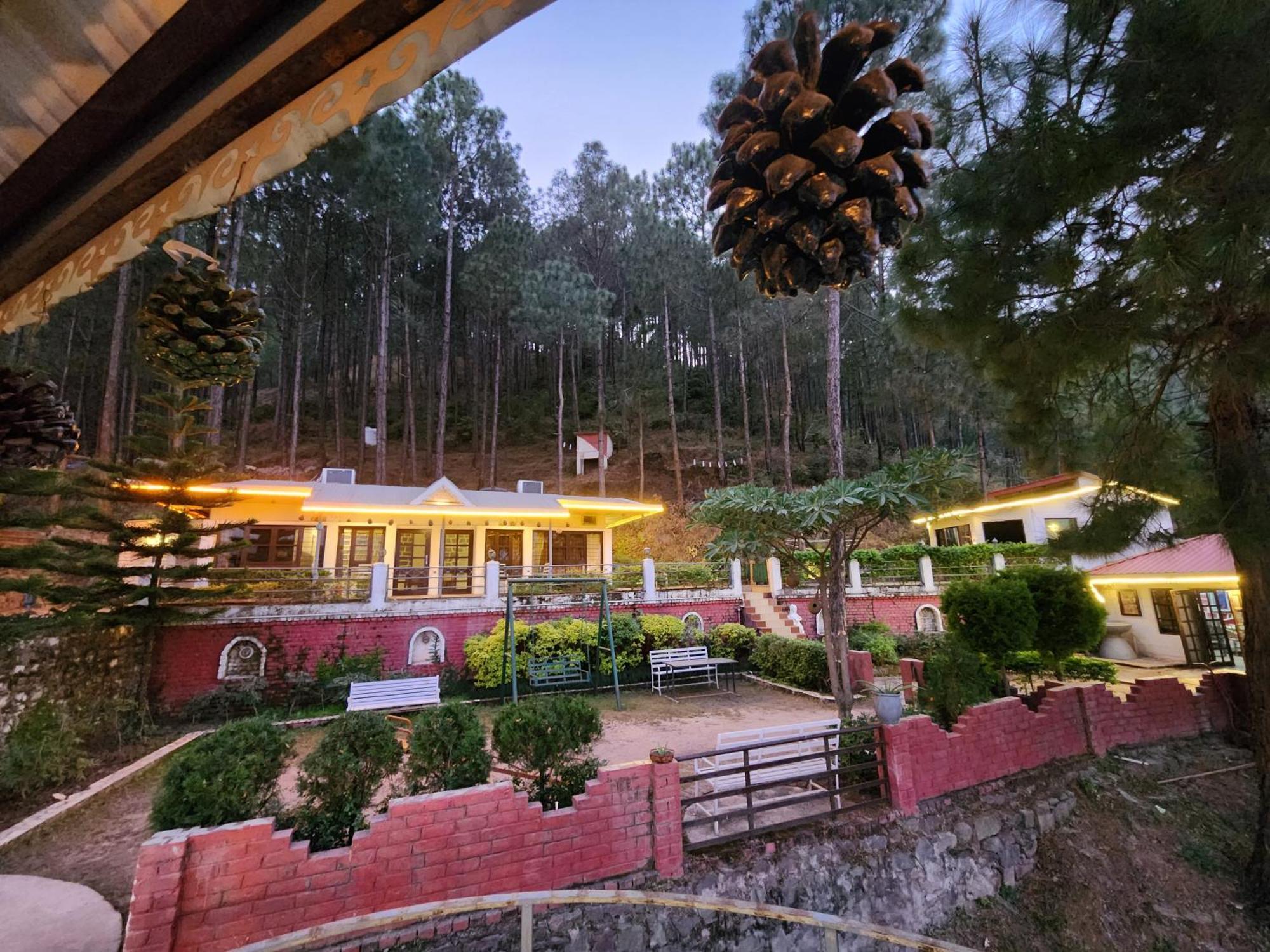 Pine Valley Resort Kasauli Buitenkant foto