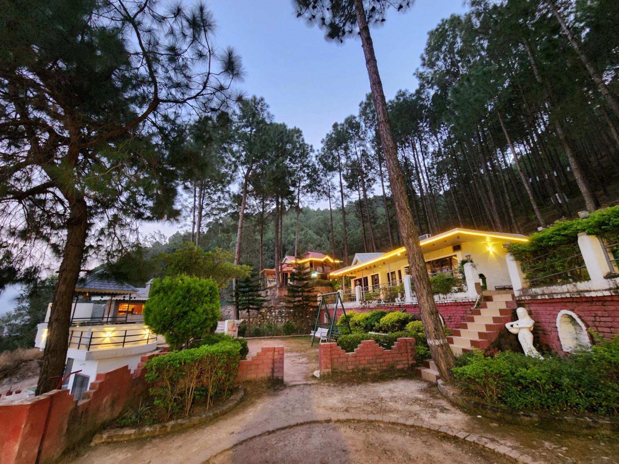 Pine Valley Resort Kasauli Buitenkant foto