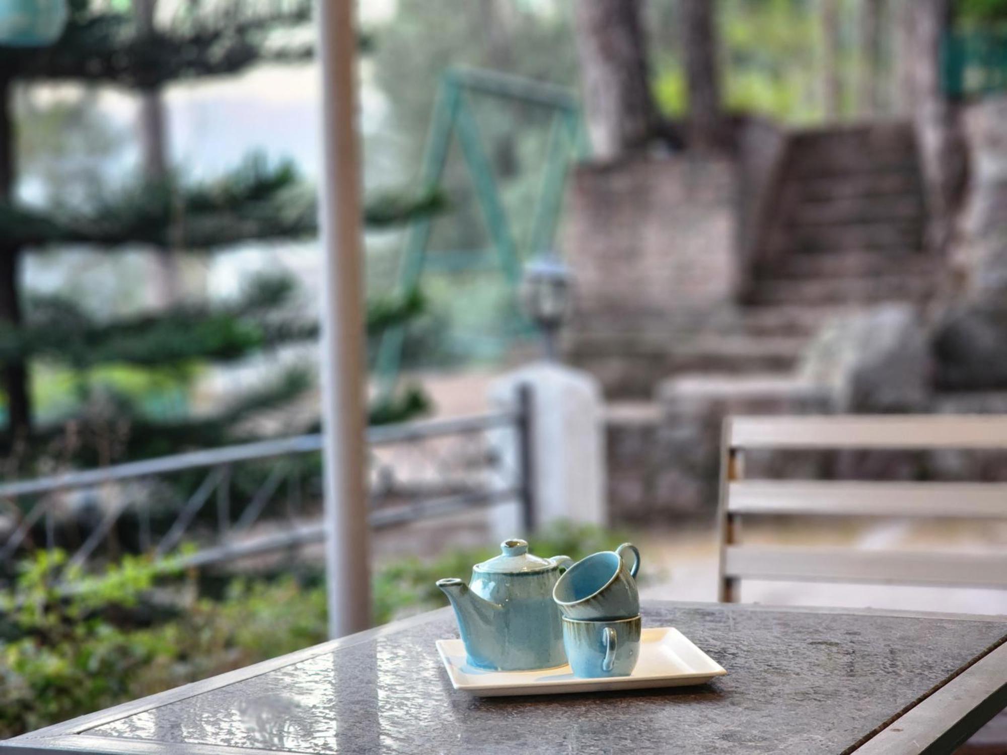 Pine Valley Resort Kasauli Buitenkant foto