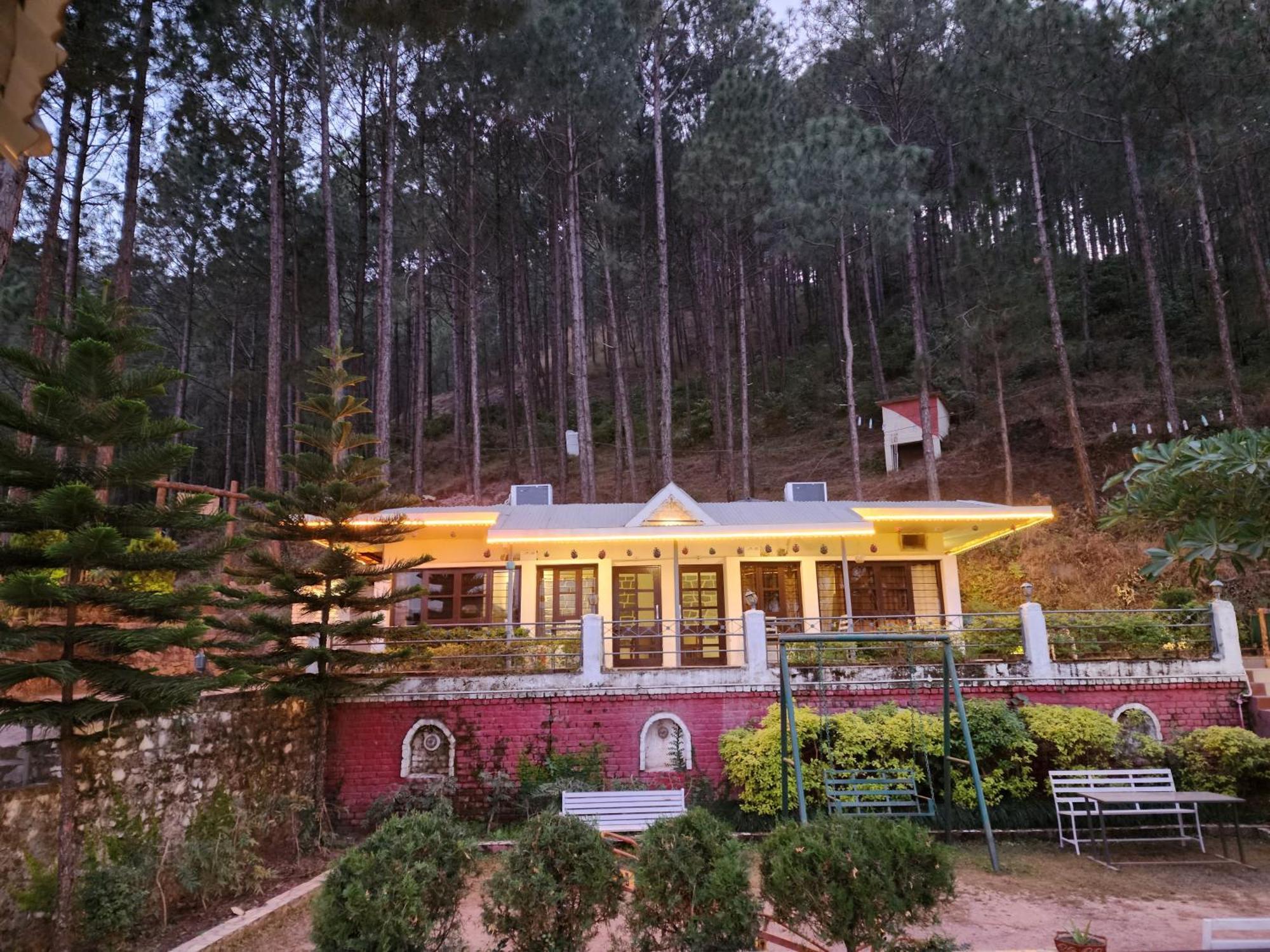 Pine Valley Resort Kasauli Buitenkant foto