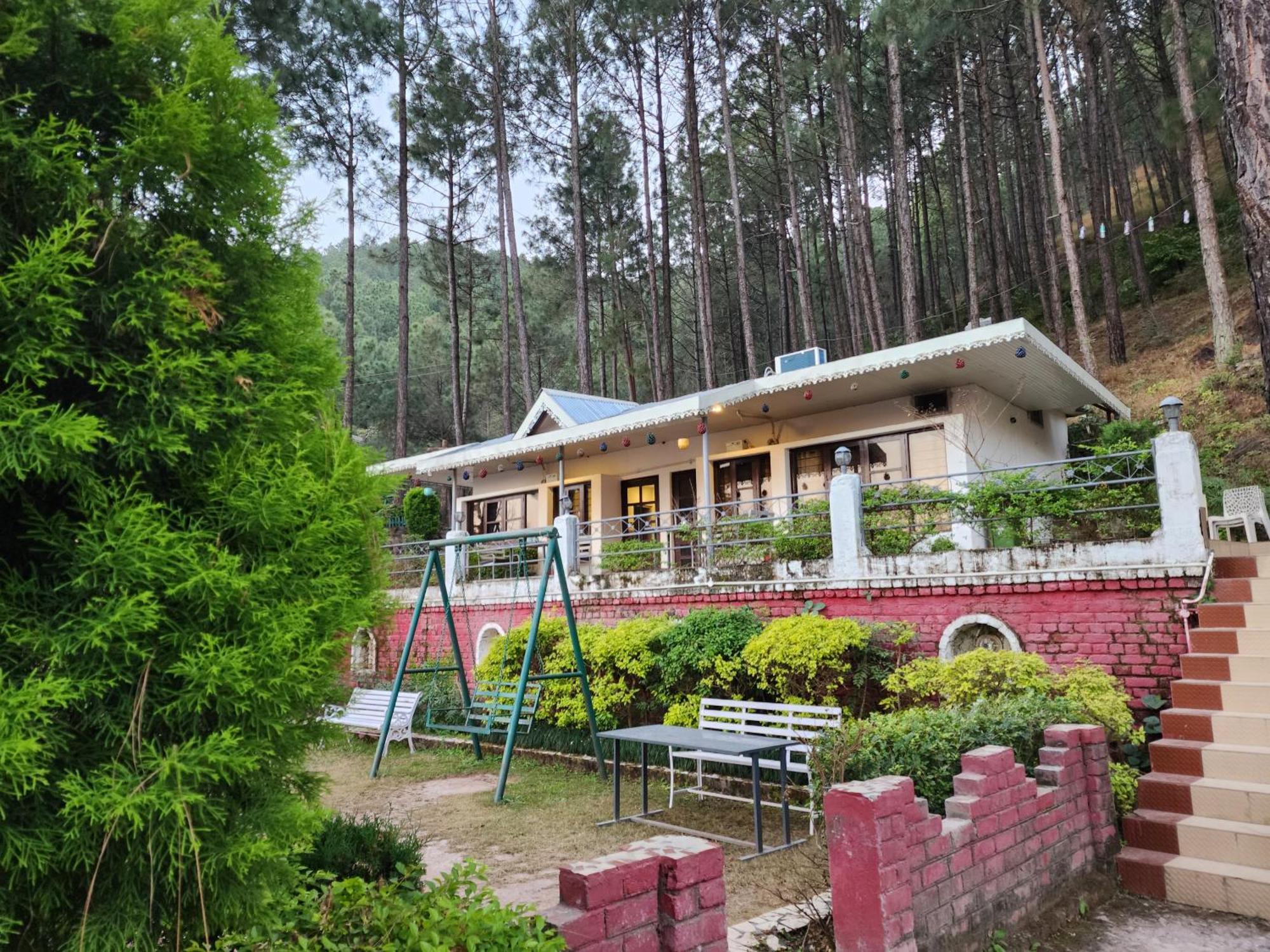 Pine Valley Resort Kasauli Buitenkant foto