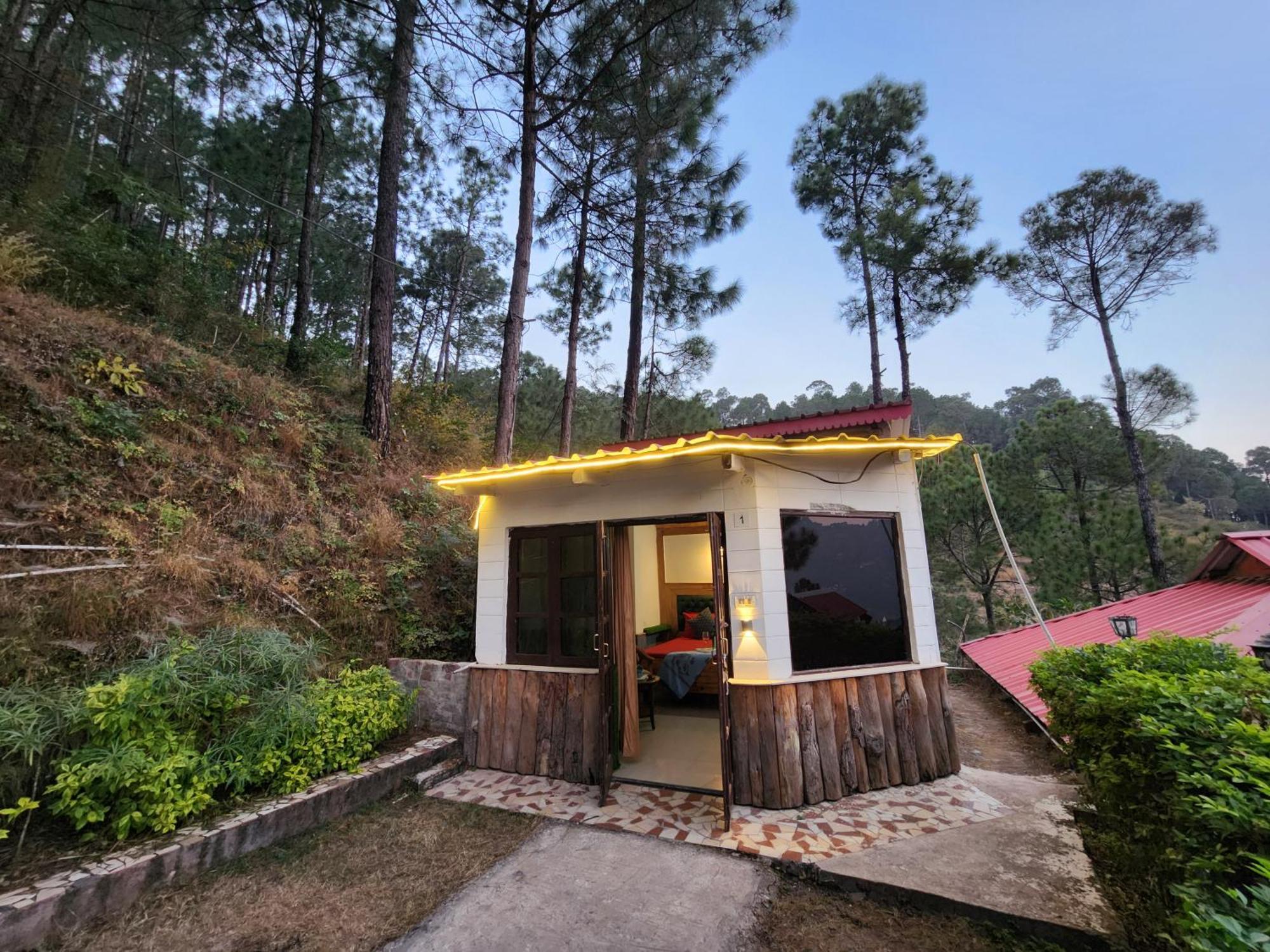 Pine Valley Resort Kasauli Buitenkant foto