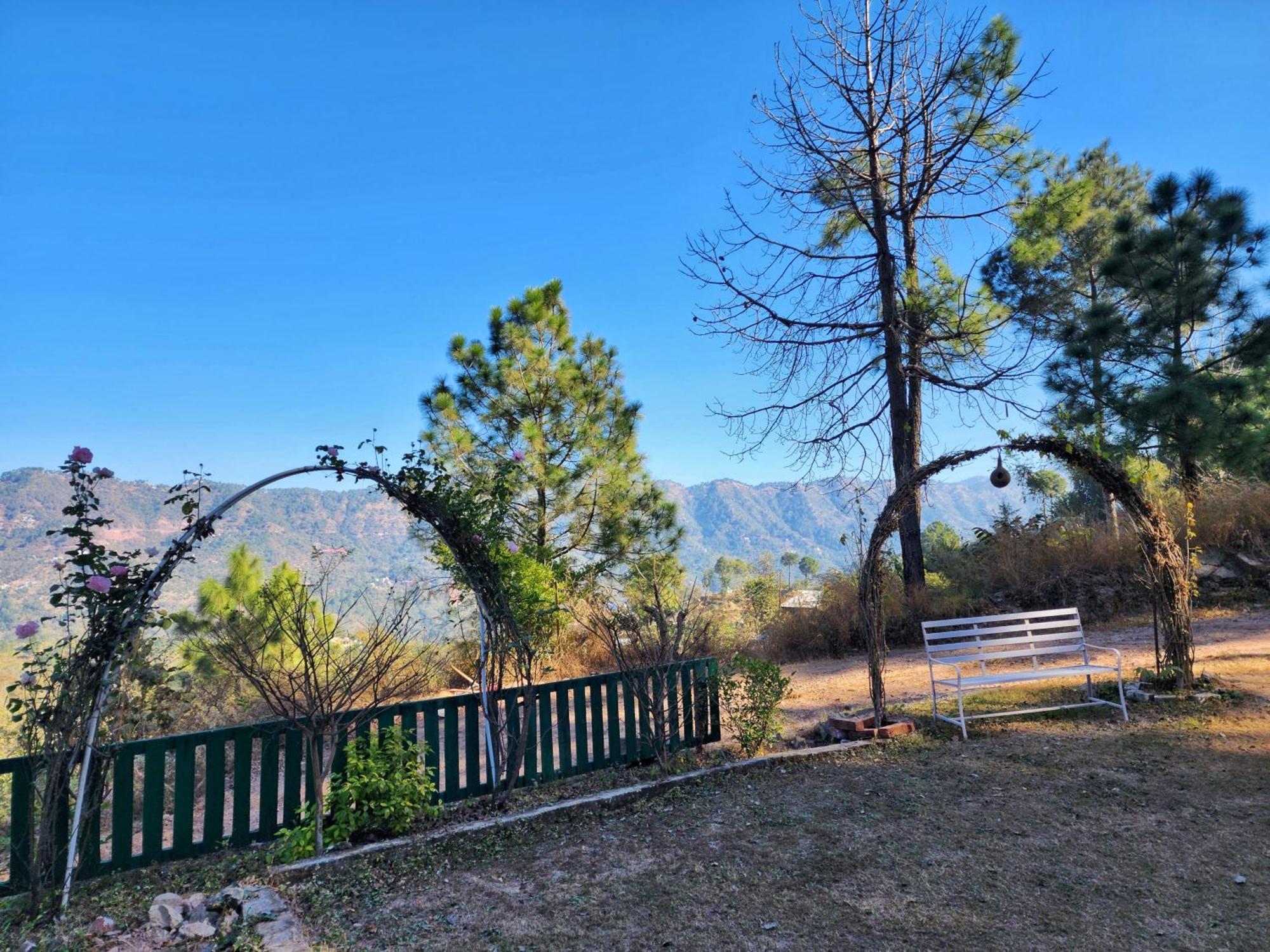 Pine Valley Resort Kasauli Buitenkant foto
